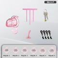 Transparent Flexible Chastity Cage with Stretchable Design （R6）