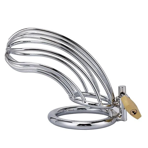 Male Long Chastity Cage | Cobweb-Designed Metal Cock Cage for BDSM & Control Play