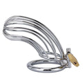 Male Long Chastity Cage | Cobweb-Designed Metal Cock Cage for BDSM & Control Play