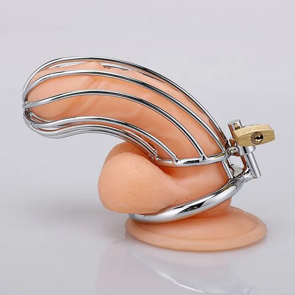 Male Long Chastity Cage | Cobweb-Designed Metal Cock Cage for BDSM & Control Play