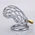 Male Long Chastity Cage | Cobweb-Designed Metal Cock Cage for BDSM & Control Play