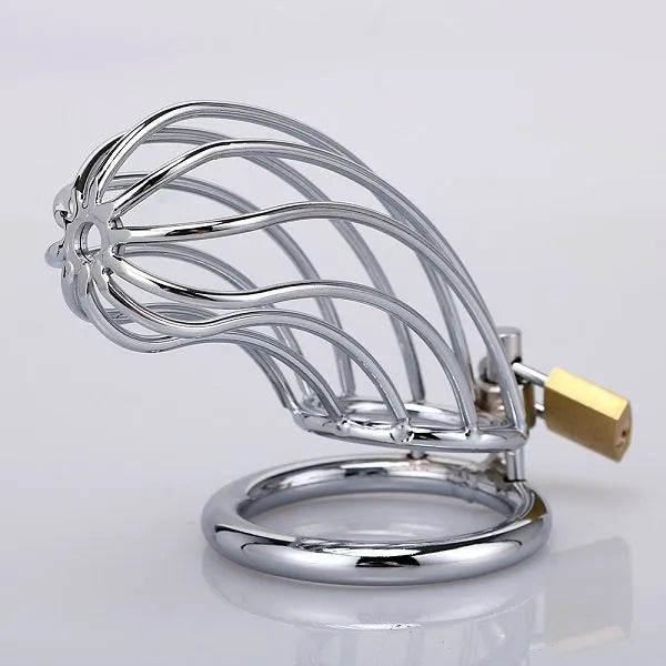 Male Long Chastity Cage | Cobweb-Designed Metal Cock Cage for BDSM & Control Play