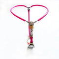 Stainless Steel Female Chastity Belt SL25008