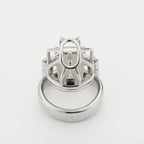 Custom Chastity Cage