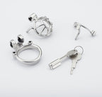 Birdcage Chastity Cage