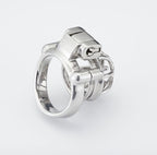 Birdcage Chastity Cage