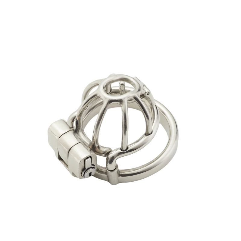 Birdcage Custom PA Chastity Cage