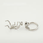 Birdcage Custom PA Chastity Cage