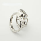 Birdcage Custom PA Chastity Cage