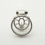 Birdcage Custom PA Chastity Cage