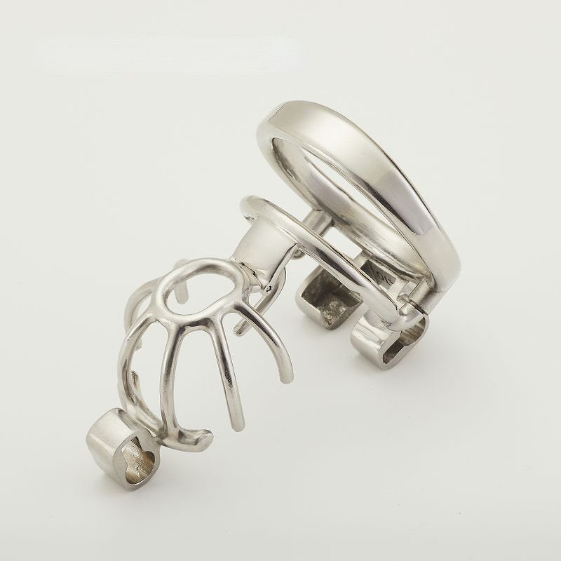 Birdcage Custom PA Chastity Cage