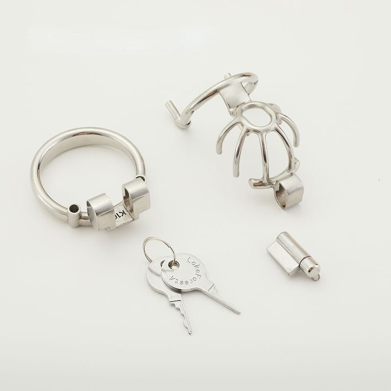 Birdcage Custom PA Chastity Cage