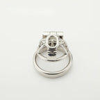 Birdcage Custom PA Chastity Cage