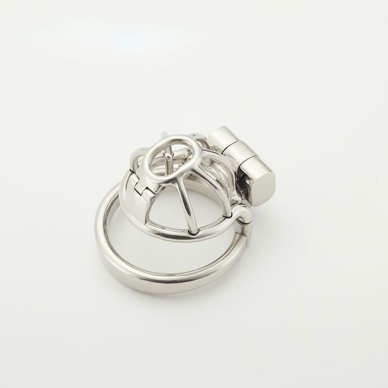 Birdcage Custom PA Chastity Cage