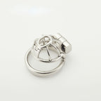 Birdcage Custom PA Chastity Cage
