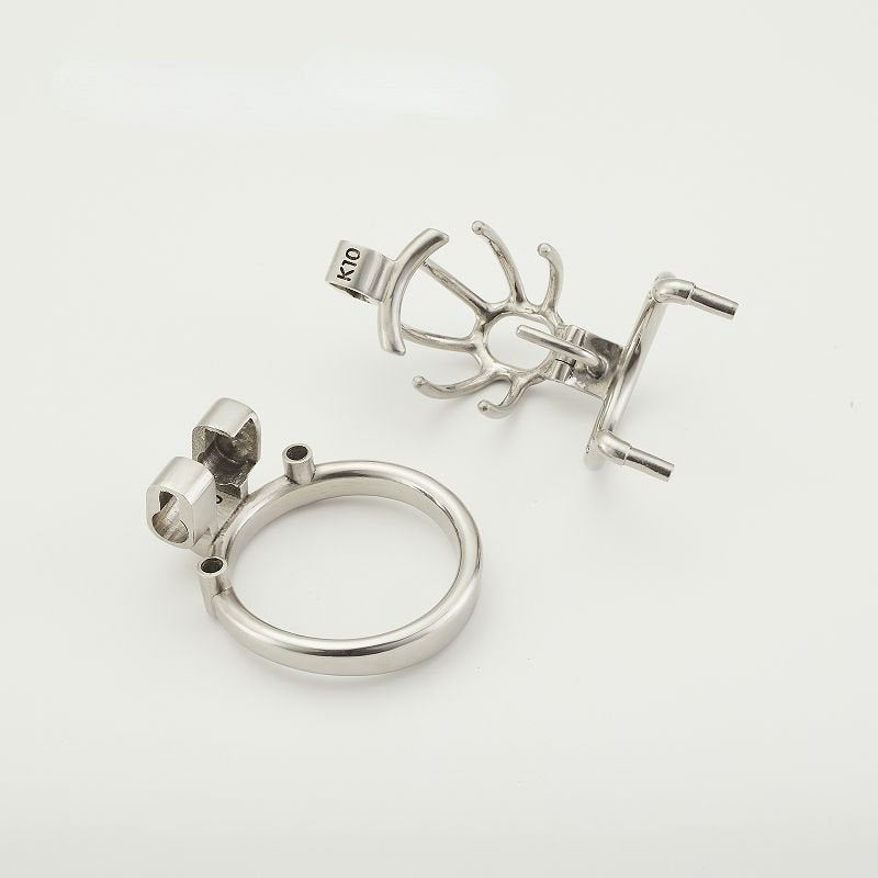 Birdcage Custom PA Chastity Cage