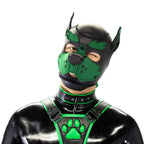 Standard-Neoprene-Puppy-Hood-3-in-1-eyebrows-within