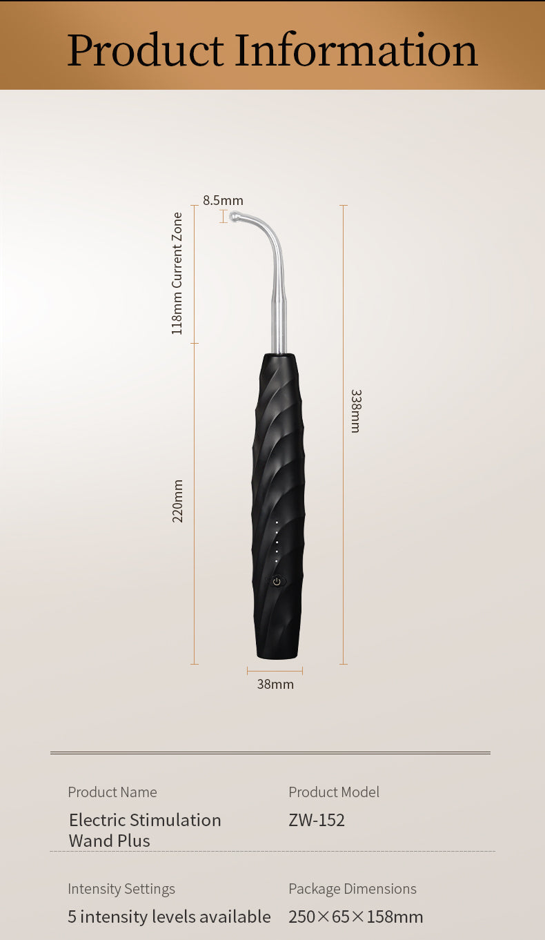 Roomfun Electric Shock Prostate Massager – 5-Level E-Stim Wand with 4 Interchangeable Heads