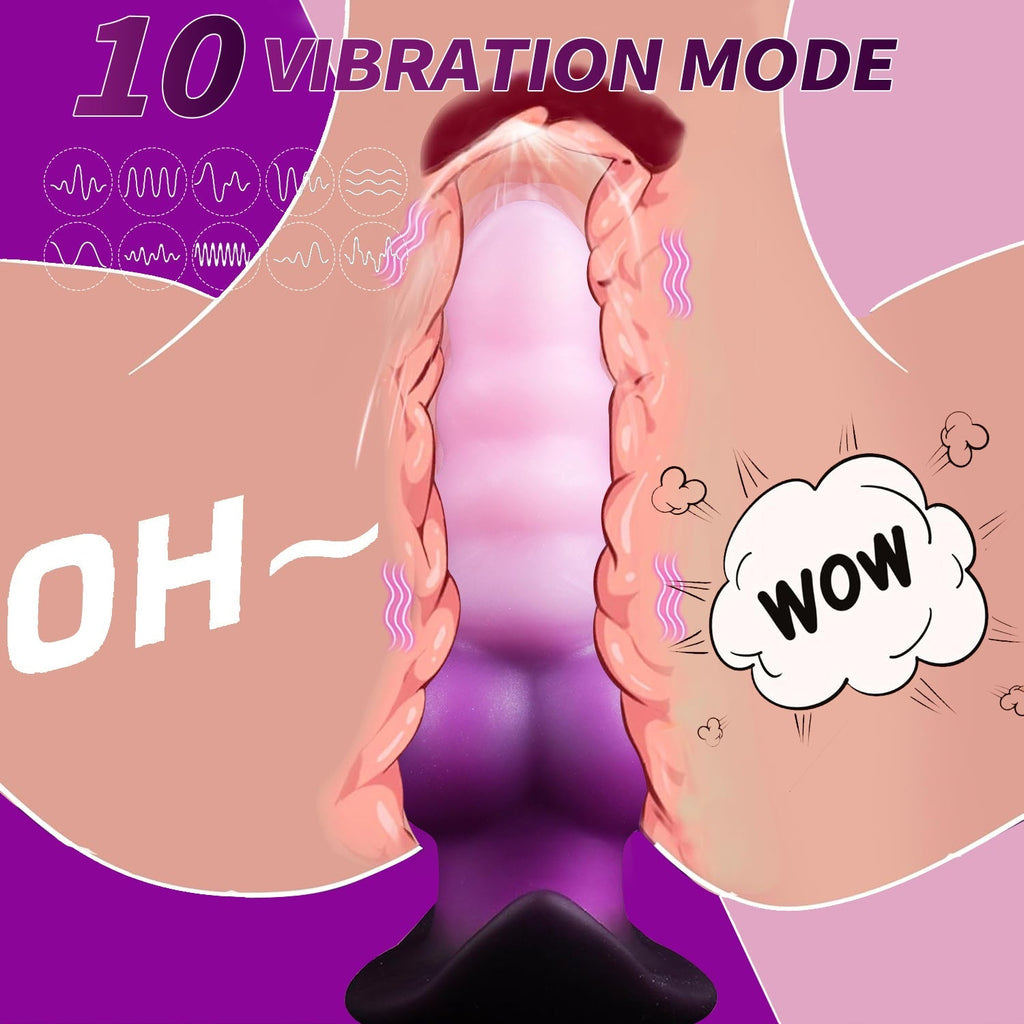 Aural Bliss Vibrating Plug – Dual Tone Purple Edition - Tarisss Sex Toy Store