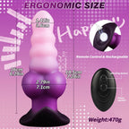 Aural Bliss Vibrating Plug – Dual Tone Purple Edition - Tarisss Sex Toy Store