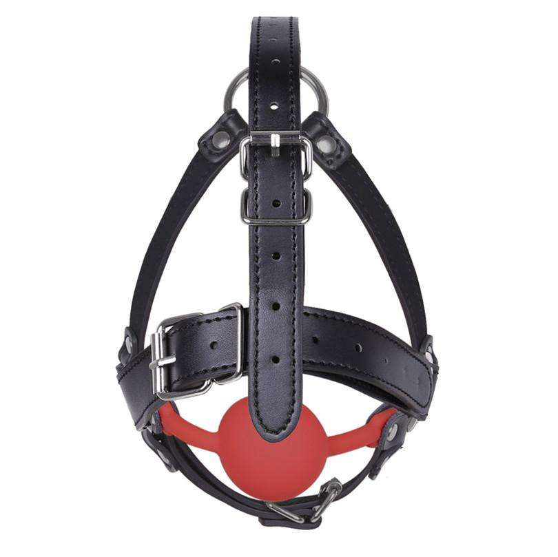 Head Harness mouth gag