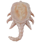 Facehugger Fantasy Alien Monster Silicone Male Manual Masturbator - Tarisss Sex Toy Store