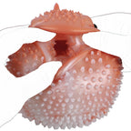 Fantasy Animal Silicone Male Manual Dolphin Masturbator - Tarisss Sex Toy Store