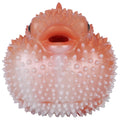 Fantasy Animal Silicone Male Manual Dolphin Masturbator - Tarisss Sex Toy Store