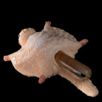 Flying Squirrel Fantasy Ultra - Soft Silicone Masturbation Sleeve - Tarisss Sex Toy Store