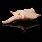 Flying Squirrel Fantasy Ultra - Soft Silicone Masturbation Sleeve - Tarisss Sex Toy Store