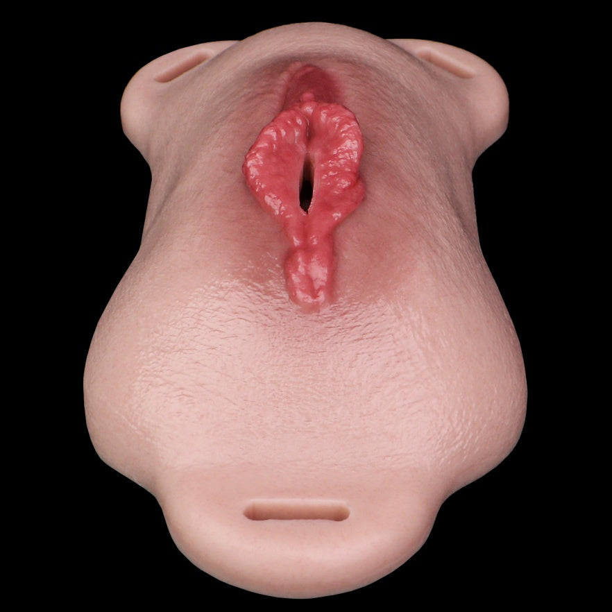Femboy Wearable Realistic Fake Vagina Silicone Pussy Pants – Platinum Silicone Strap-On