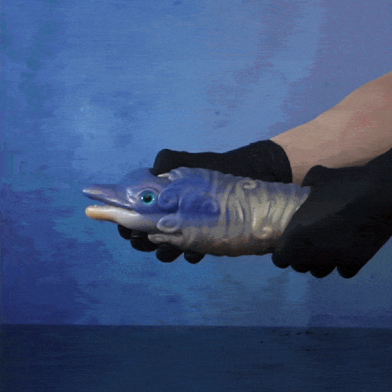 Fantasy Dolphin Silicone Pocket Pussy Pump - Blow Job Simulator & Penis Pump for Men