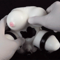 Cow Girl Anime Mini Sex Doll Torso — Dual-Channel Pocket Pussy with Squeezable Boobs by Domlust