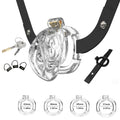 Male Chastity Cage - Tarisss Sex Toy Store