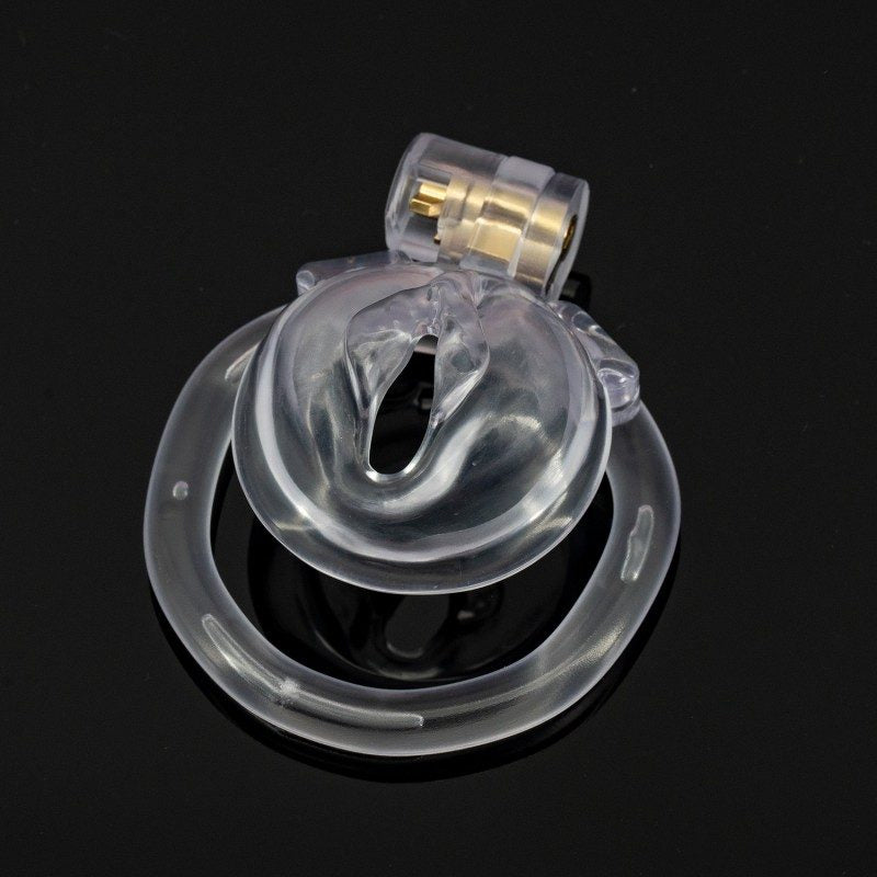 Pussy Shaped Resin Chastity Cage