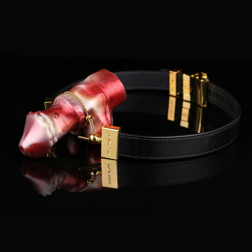 Vertical Dildo Gag Bondage Set - Wearable Ballgag Lustrous Oral Restriant Sex Game Play