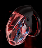 Retractable Electric Shock & Vibrating Chastity Cage