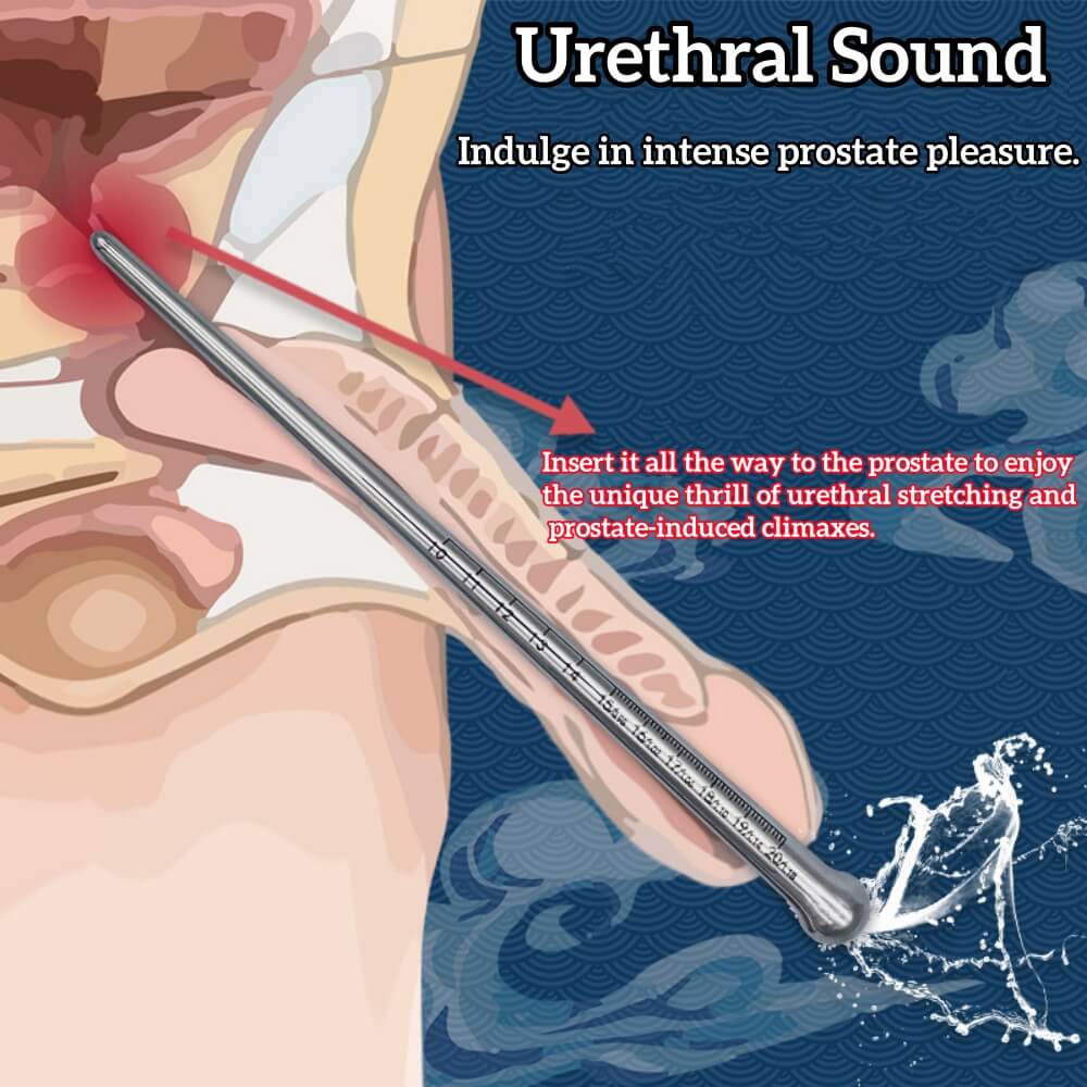 Stainless Steel Urethral Sound - Tarisss Sex Toy Store