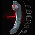 Temptasia Rattlesnake Dual-Ended Vibrator - Plasma Vibrator - Prostate & G Spot Stimulator