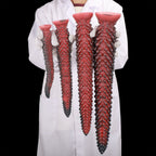 Textured Silicone Dildo with Suction Base - Tarisss Sex Toy Store