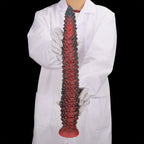 Textured Silicone Dildo with Suction Base - Tarisss Sex Toy Store