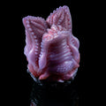 Carnivorous Flower Alien Pocket Pussy – Beast Oral Sex Masturbator in Platinum Silicone