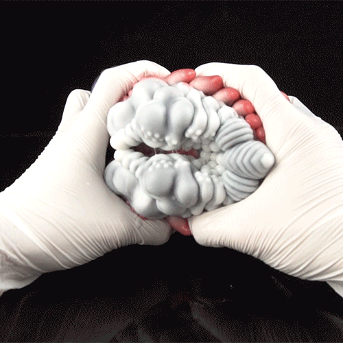 Alien Fantasy Vibrating Grinder Sex Toy | Open-Channel Pussy Grinder for Penis Desensitization