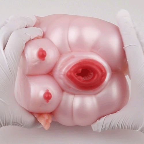 Pink Pig Pussy Torso Sex Doll - Fantasy Silicone Animal Pussies Masturbation Toy for Men