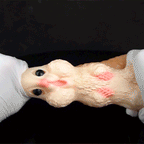 Hamster Pocket Pussy Animal Sex Doll – Cute Animal Stroker for Men Who Love Furry Fantasy